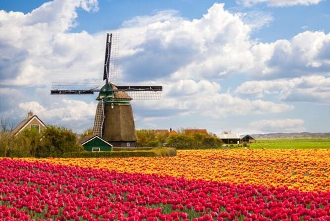 Amsterdam: Keukenhof and Zaanse Schans Windmills Guided Day Trip - Meeting near Amsterdam Central Station