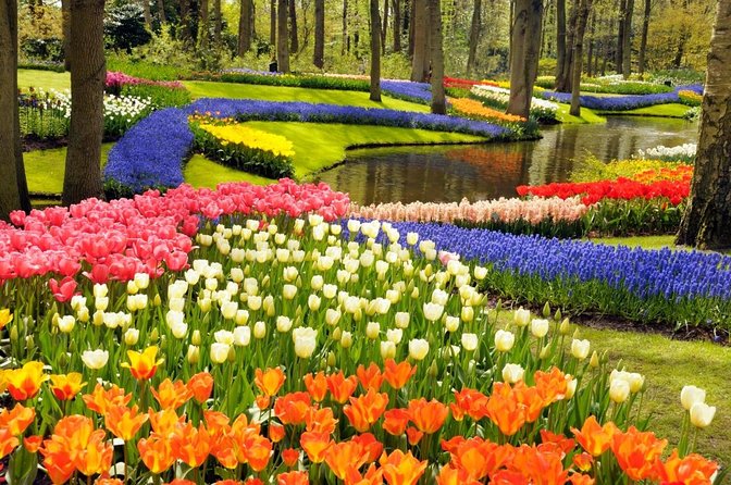 Amsterdam: Keukenhof Entry & Shuttle Bus with Flexible Return - Why this Keukenhof transfer works so well