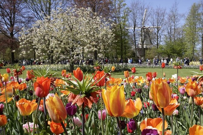Amsterdam: Keukenhof Entry & Shuttle Bus with Flexible Return - The 40-minute ride through the bulb-growing region