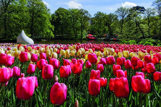 Amsterdam: Keukenhof Entry & Shuttle Bus with Flexible Return - The flexible return is the real advantage