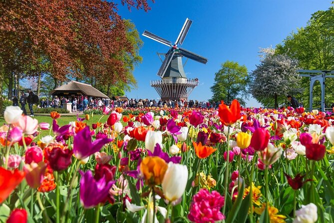 Amsterdam: Keukenhof Entry & Shuttle Bus with Flexible Return - Entering Keukenhof and planning your first hour