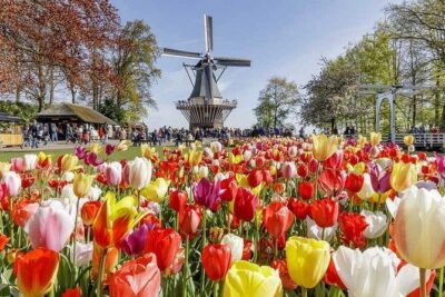 Keukenhof FlowerFarm Privatetour Skip-The-Line ticket