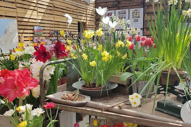 Amsterdam : Keukenhof FlowerFarm Privatetour Skip-The-Line ticket - Noordwijk adds the North Sea to your flower day