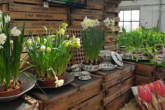 Amsterdam : Keukenhof FlowerFarm Privatetour Skip-The-Line ticket - The best and weakest parts of the schedule