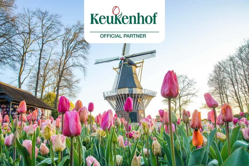Amsterdam: Keukenhof Ticket and Roundtrip Shuttle Transfer - Key points to know before booking