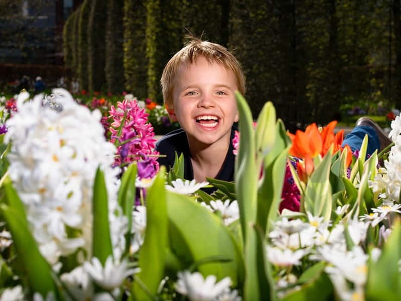 Amsterdam: Keukenhof Ticket and Roundtrip Shuttle Transfer - Who will appreciate this experience most?