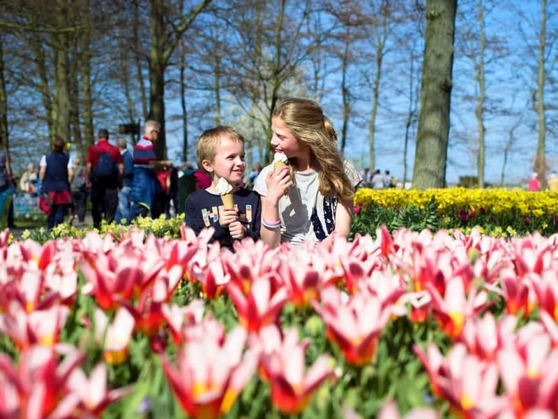 Amsterdam: Keukenhof Ticket and Roundtrip Shuttle Transfer - Why this shuttle is an easy way to reach Keukenhof
