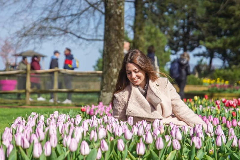Amsterdam: Keukenhof Ticket and Roundtrip Shuttle Transfer - Entering Keukenhof with a flexible schedule