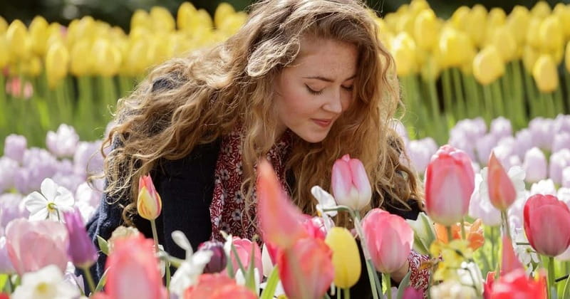 Amsterdam: Keukenhof Ticket and Roundtrip Shuttle Transfer - How long should you spend inside the garden?