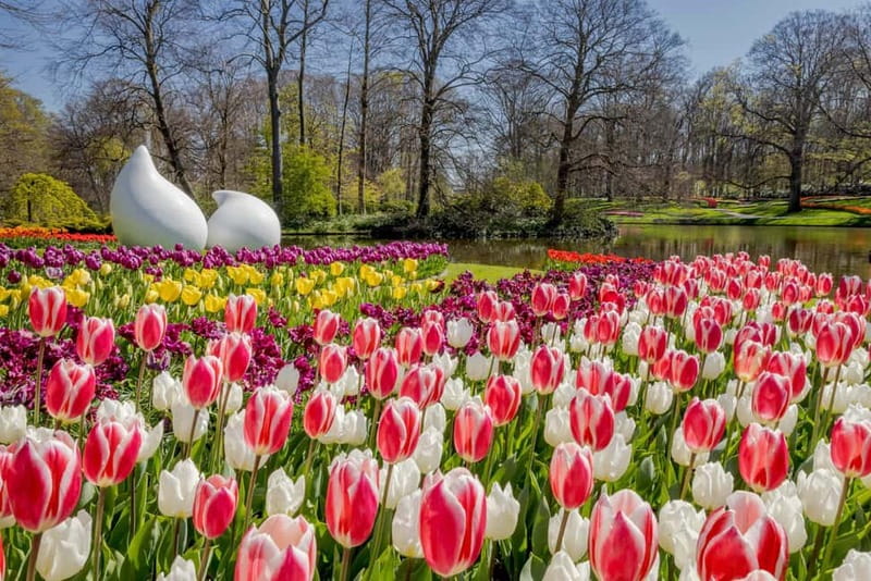 Amsterdam: Keukenhof Ticket and Roundtrip Shuttle Transfer - Eating, toilets, and other practical comforts