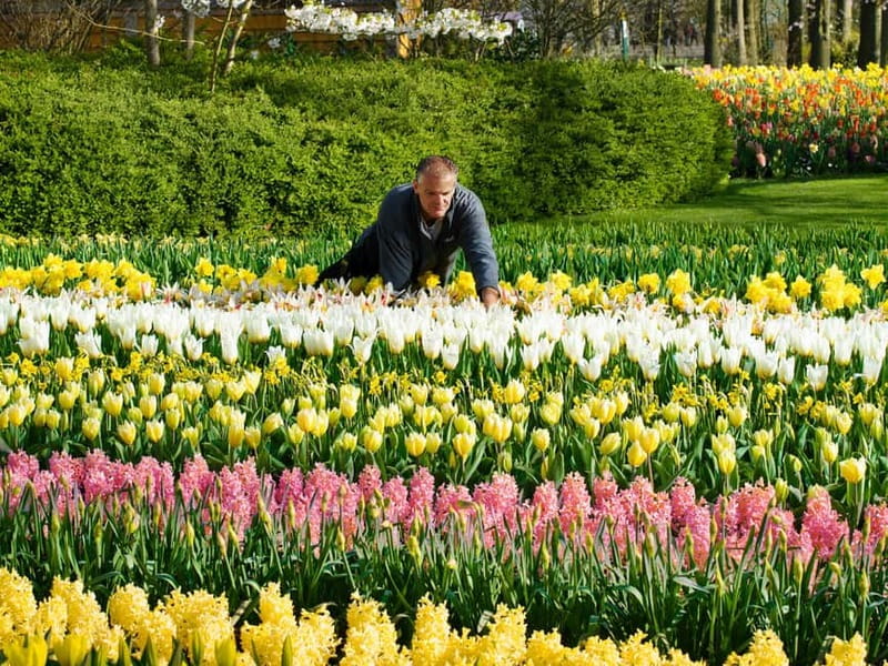 Amsterdam: Keukenhof Ticket and Roundtrip Shuttle Transfer - Finding This is Holland behind Amsterdam Central Station