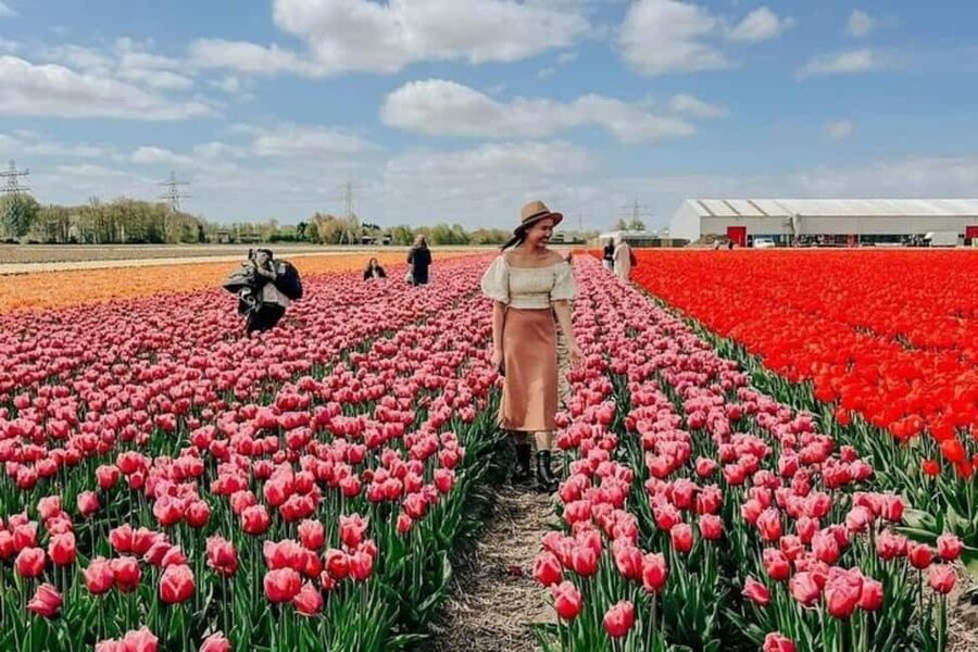 Amsterdam: Keukenhof, Tulip Farm Full-Day Tour with Cruise - Why this day trip works so well