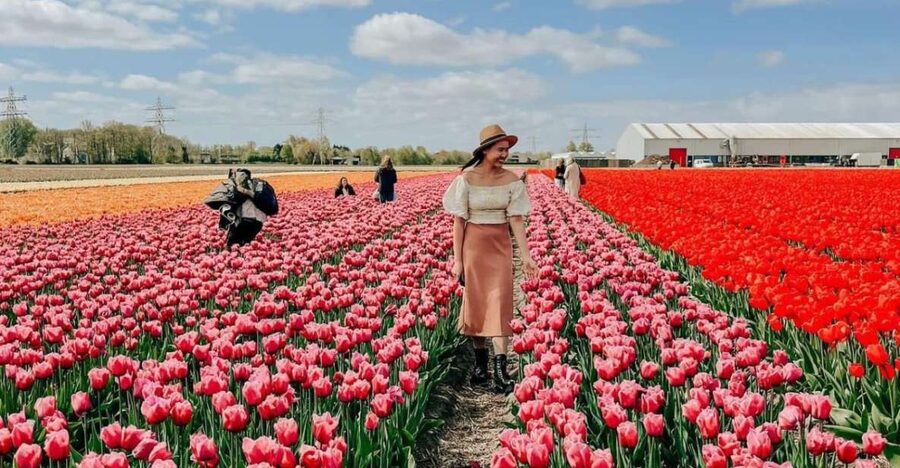 Amsterdam: Keukenhof, Tulip Farm Full-Day Tour with Cruise - Meeting Daan at the tulip farm