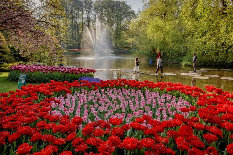 Amsterdam: Keukenhof, Tulip Farm Full-Day Tour with Cruise - Arriving at Keukenhof around 1:30 pm