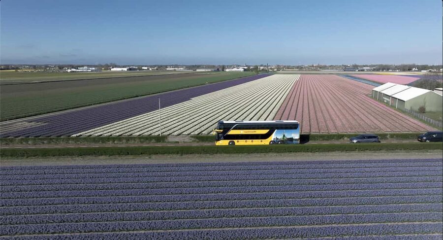 Amsterdam: Keukenhof, Tulip Farm Full-Day Tour with Cruise - What is included, and what is not