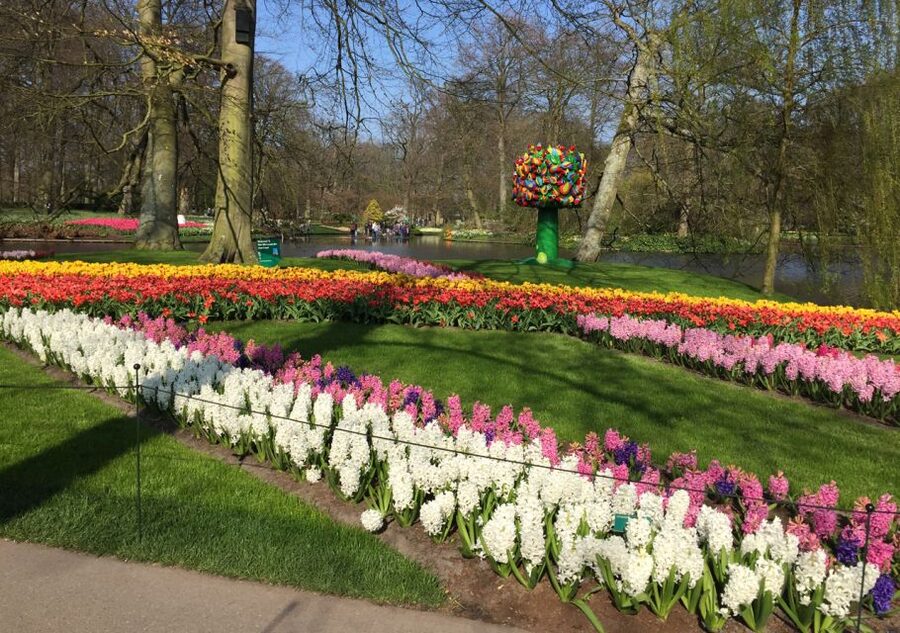 Amsterdam: Keukenhof Tulip Garden and Giethoorn Experience - Key points to know before booking