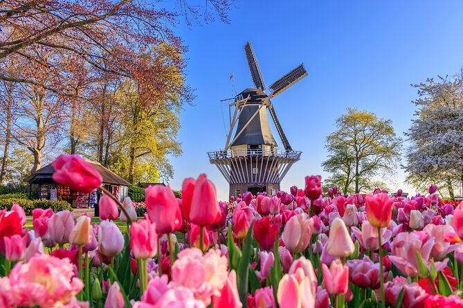 Amsterdam: Keukenhof, Zaanse Schans & Volendam Tour - The best parts at a glance