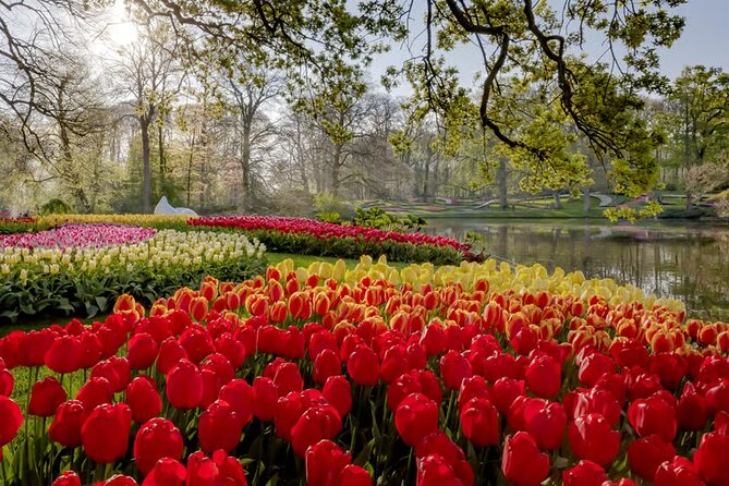 Amsterdam: Keukenhof, Zaanse Schans & Volendam Tour - Keukenhof: the main event in spring