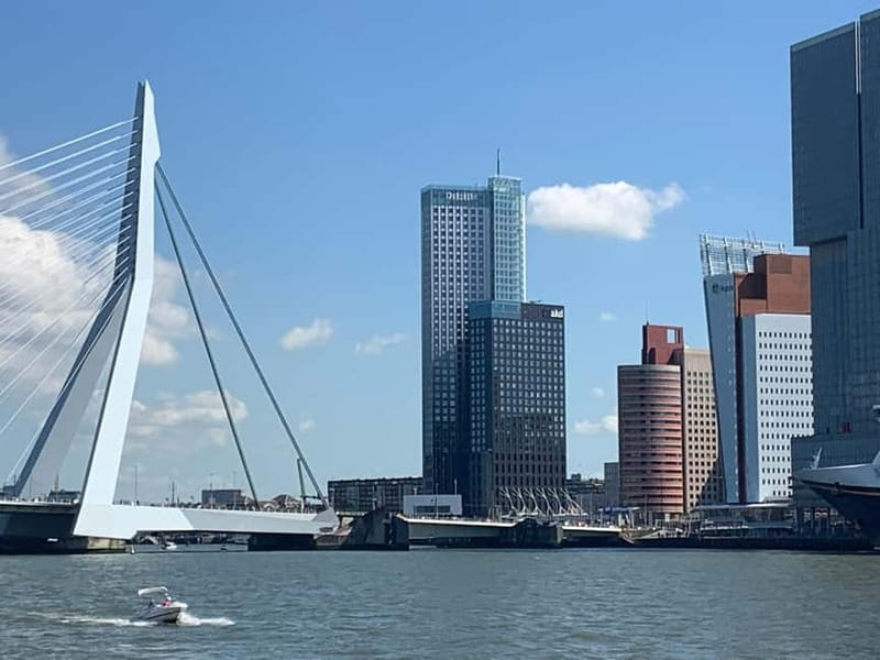 Amsterdam: Kinderdijk, Euromast, Delft and Den Haag Day Tour - Is $152 a fair price?