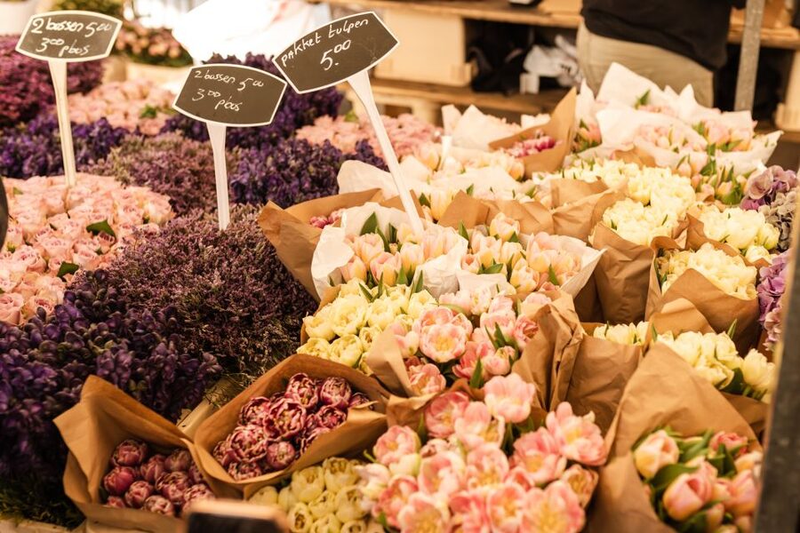 Amsterdam: Off-the-Beaten-Track Neighborhoods Private Tour - Ten Katemarkt and De Hallen in Amsterdam-West