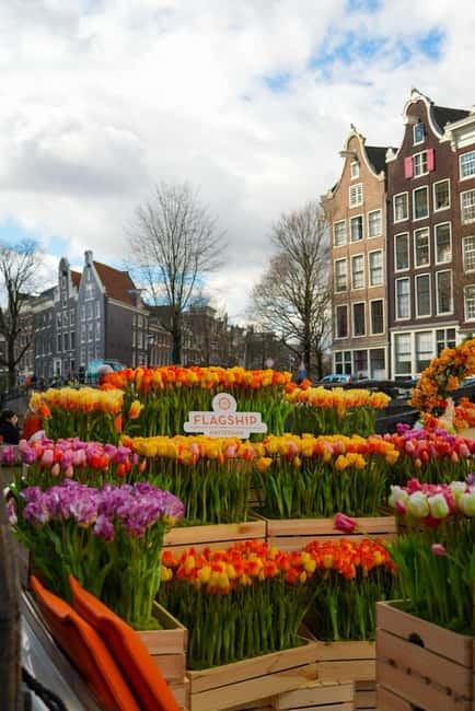 Amsterdam: Premium Tulip Boat Canal Tour - The Golden Bend and Amsterdam’s grandest facades