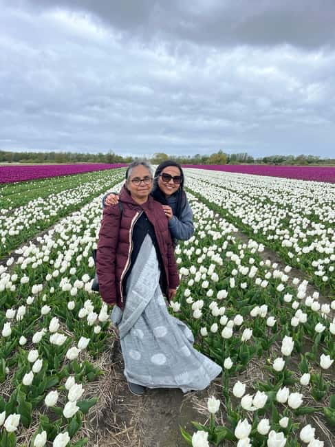 Amsterdam: Private Keukenhof and Free Tulip Tour - A private van, drinks, WiFi, and an adjustable day