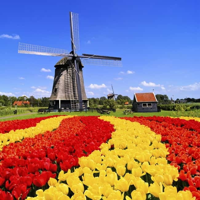 Amsterdam: Private Keukenhof and Free Tulip Tour - Door-to-door pickup across the Amsterdam region