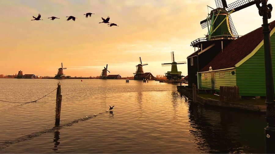 Amsterdam: Private Tour Giethoorn, Zaanse Schans Local Guide - Key points at a glance