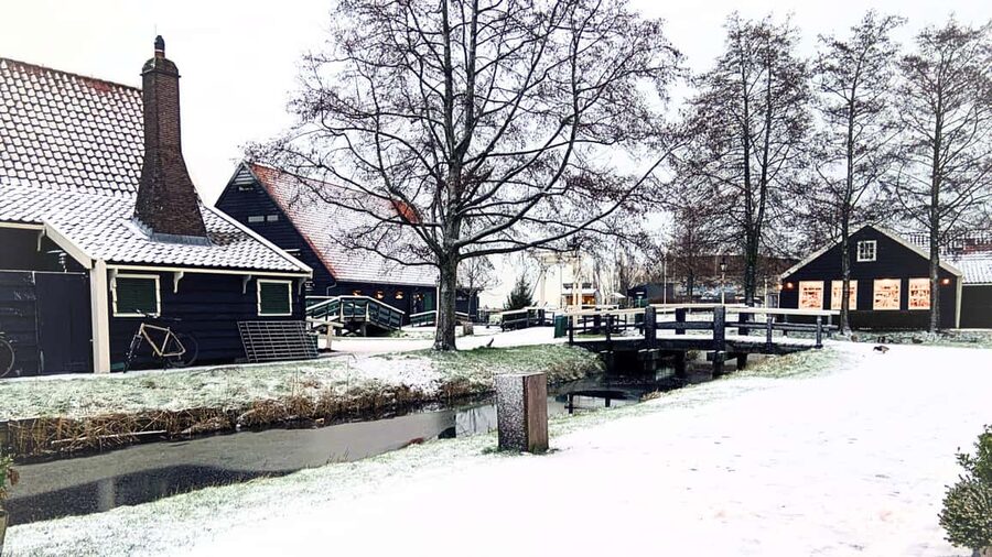 Amsterdam: Private Tour Giethoorn, Zaanse Schans Local Guide - What the private format is worth