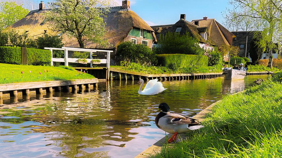 Amsterdam: Private Tour Giethoorn, Zaanse Schans Local Guide - Who will enjoy this day most