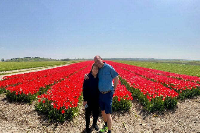 Amsterdam Private Tour to Keukenhof, Tulip Fields and Windmills - Tulip fields beyond the garden gates