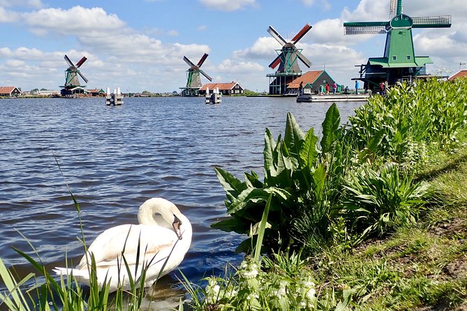 Amsterdam private tour to windmills, cheese farm and villages - Edam: a compact cheese town with room for seafood