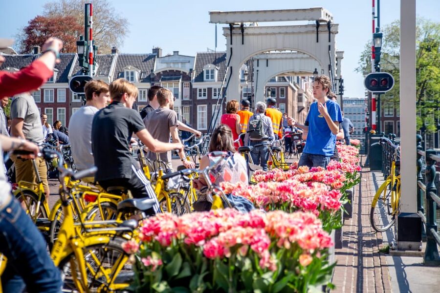Amsterdam: Relaxed City Highlights Guided Bike Tour - Price, pace, and who gets the best value