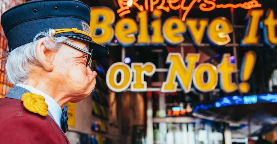 Amsterdam's Weirdest Museum: Believe It or Not! - Key points to know