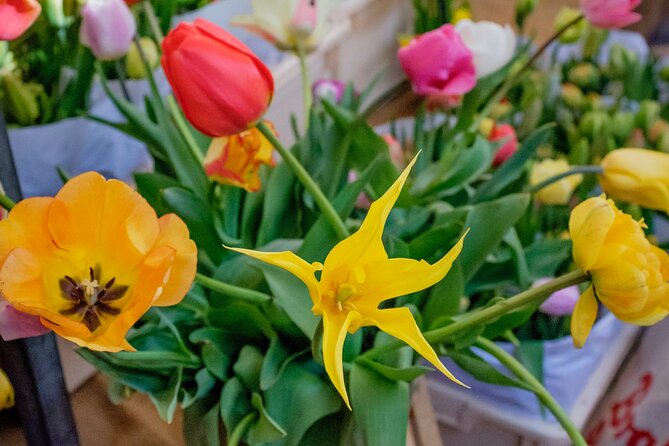 Amsterdam Sightseeing Tour + Hidden Gems + Tastings + PDF guide - What the private format is worth