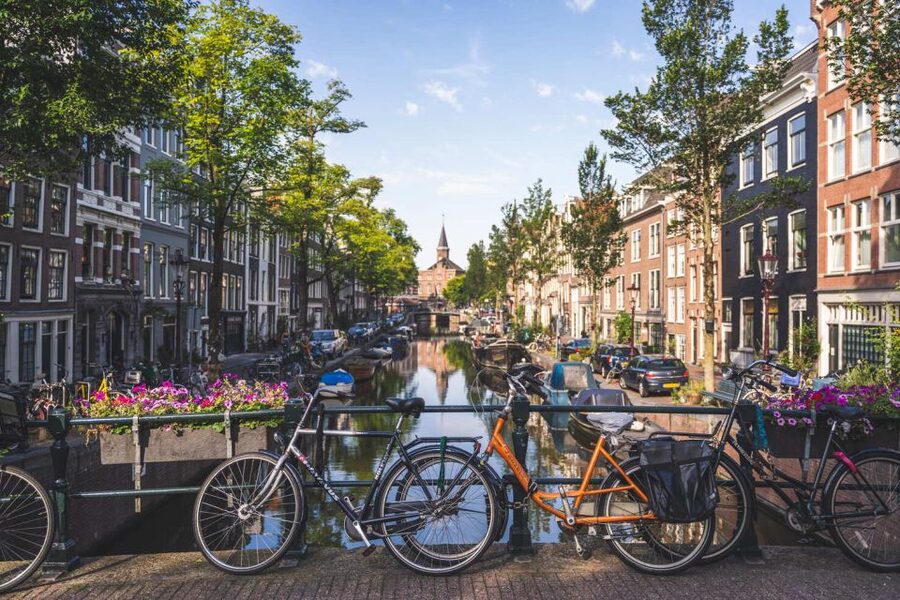 Amsterdam Small-Group Walking Tour - What the guides do best