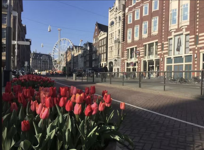 Amsterdam: The Story of History & Culture Walking Tour - Who will enjoy this Amsterdam walk most