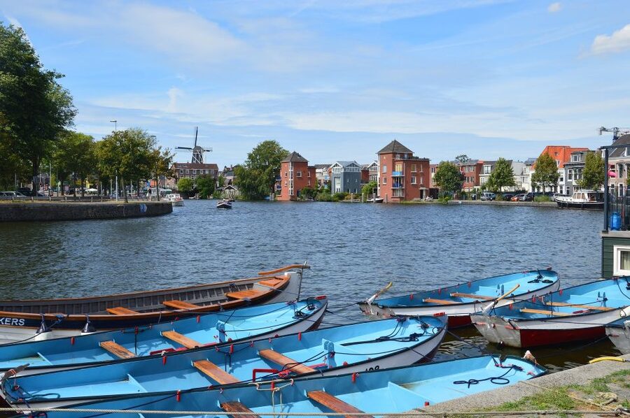 Amsterdam to Haarlem: Private Day-Trip Experience - Adding a museum without turning the day into a race
