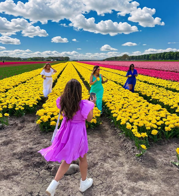 Amsterdam: Tulip Fields Day Tour with Lunch & Windmill - Key points to know before you book