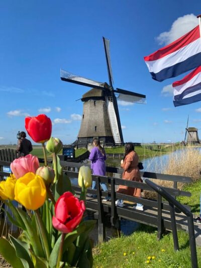 Tulip Fields Day Tour with Lunch & Windmill
