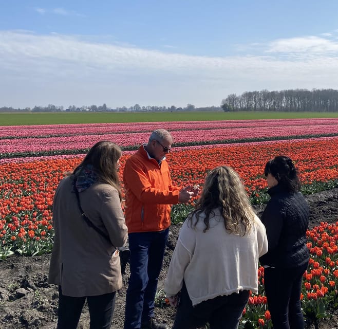 Amsterdam: Tulip Fields Day Tour with Lunch & Windmill - What $143 buys you