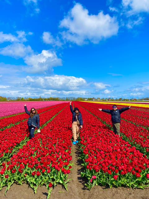 Amsterdam: Tulip Fields Day Tour with Lunch & Windmill - Practical tips for getting the most from it