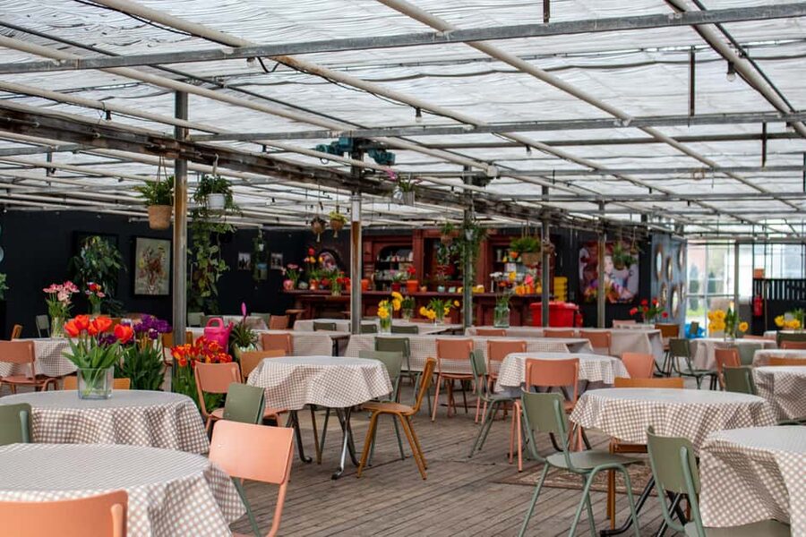 Amsterdam : Tulip Wonderland Tour - Two hours among 200 tulip varieties