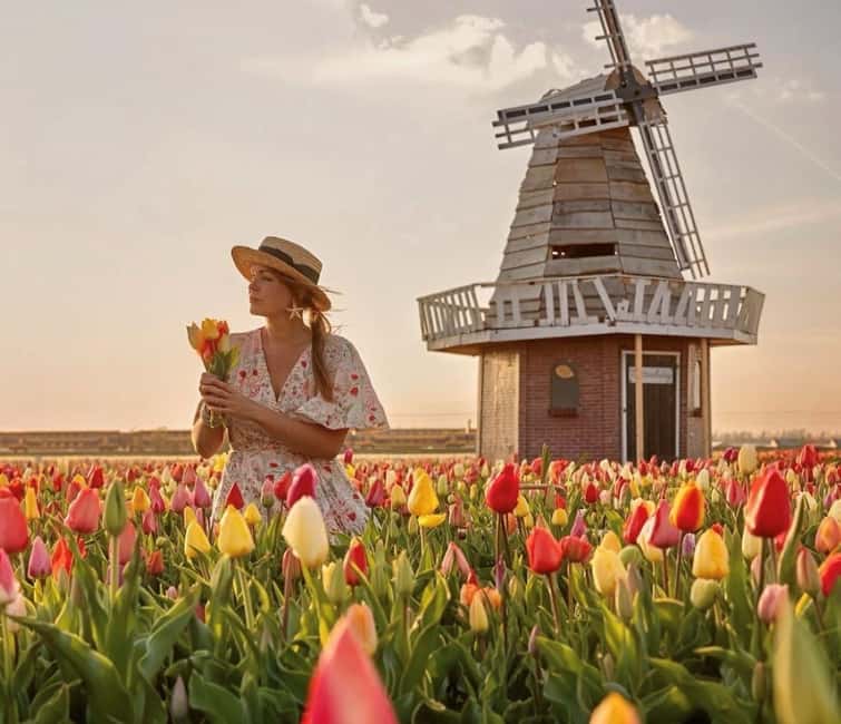 Amsterdam : Tulip Wonderland Tour - Leaving Amsterdam from Market 27