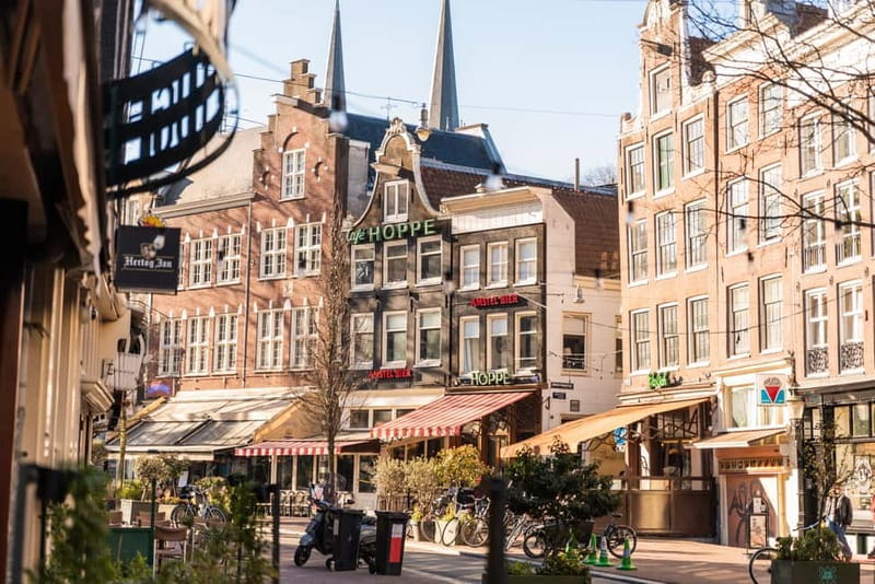 Amsterdam: Ultimate Amsterdam Food Tour - Herring and kibbeling at Herring Stall Jonk