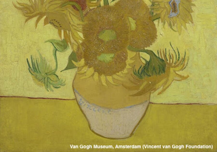 Amsterdam: Van Gogh Museum Guided Tour with Entry - The first rooms: Van Gogh before the familiar style