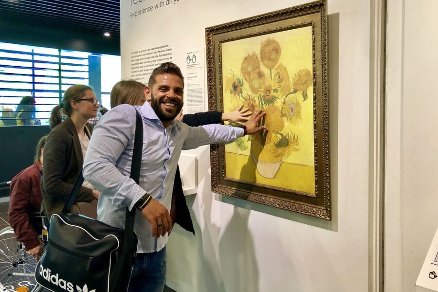 Amsterdam: Van Gogh Museum Masterpieces Tour up to 8 guests - Famous paintings and less familiar works