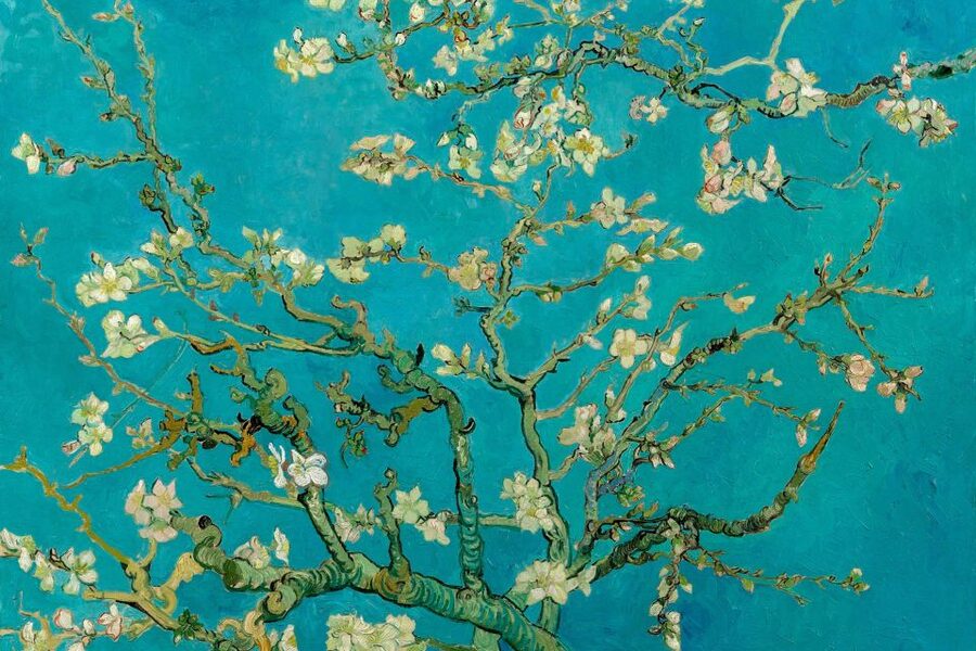 Amsterdam: Van Gogh Museum Ticket and City Canal Cruise - Walking from the museum to the canal docks