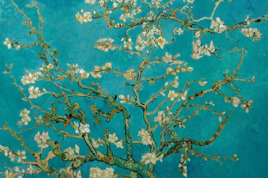 Amsterdam: Van Gogh Museum Ticket & Canal Cruise - Who will get the most from this ticket