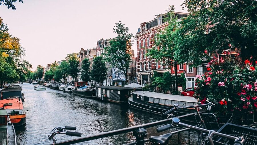Amsterdam Walking Tour with a Local - Key points to know before you book